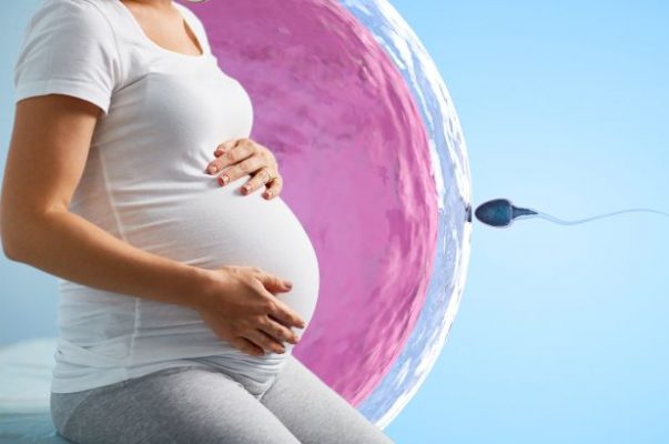 Thụ tinh nhân tạo (IVF) kết hợp với sự trợ giúp của kỹ thuật CGH Micro Array chính là phương pháp tối ưu nhất trong vấn đề sinh con theo ý muốn