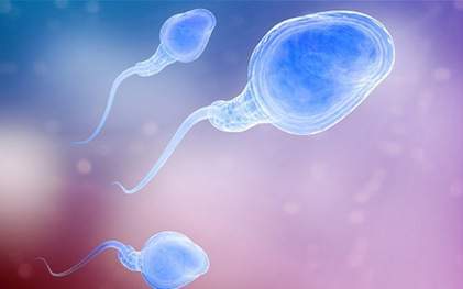 Sàng lọc tinh trùng có sinh con theo ý muốn được không?